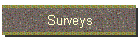 Surveys