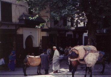 Square in Fez