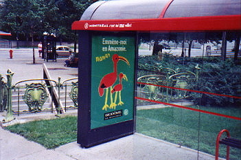 Bus Stop in Montral